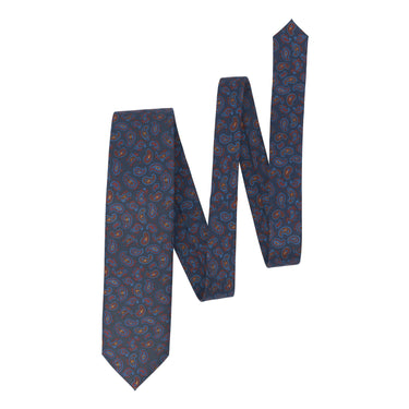 Printed Paisley Silk Tie in Blue