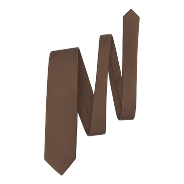 Plain Silk Tie in Coffee Brown