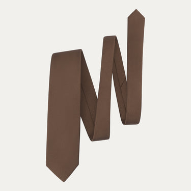 Plain Silk Tie in Coffee Brown