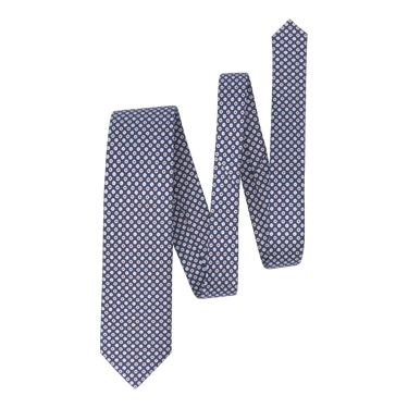 Printed Silk Tie in Blue
