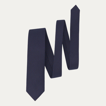 Paisley Printed Silk Tie in Dark Blue
