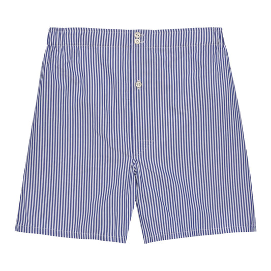 Striped Boxer Shorts in Blue and White