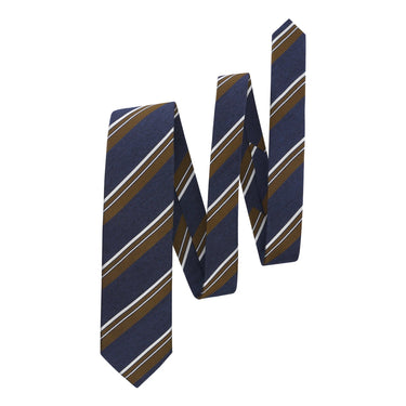 Bigi Regimental Jacquard Silk Tie in Multicolor - SARTALE