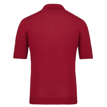 Gran Sasso V - Neck Silk Polo Shirt in Raspberry Red - SARTALE