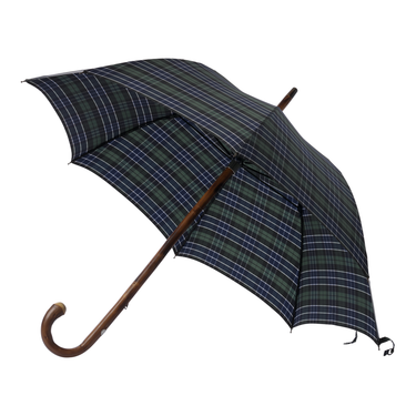 Chestnut Wood-Handle Checked Umbrella in Green