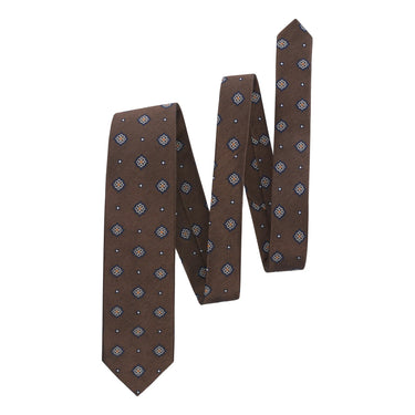 Bigi Embroidered Woven Silk Tie in Brown - SARTALE