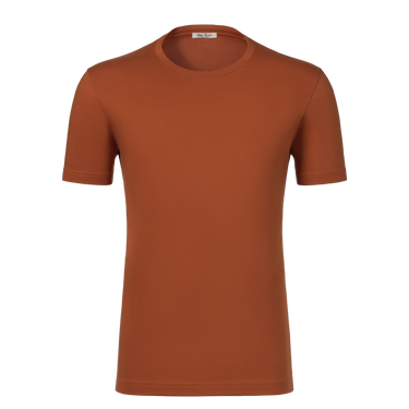Cotton Crew-Neck T-Shirt in Rust
