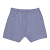 Checked Boxer Shorts in Blue and White