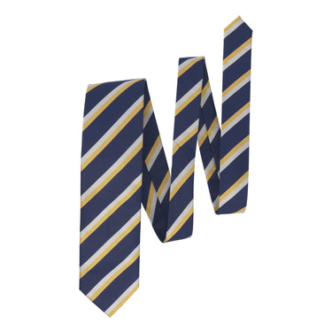 Regimental Silk Tie in Multicolor