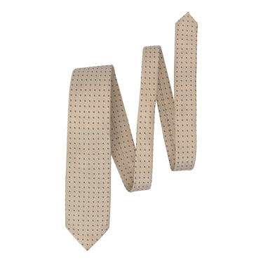 Embroidered Silk Tie in Beige