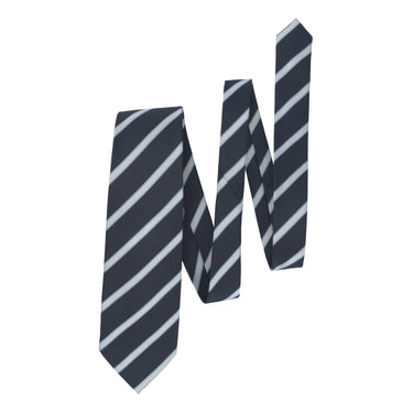 Striped Silk Tie in Navy Blue