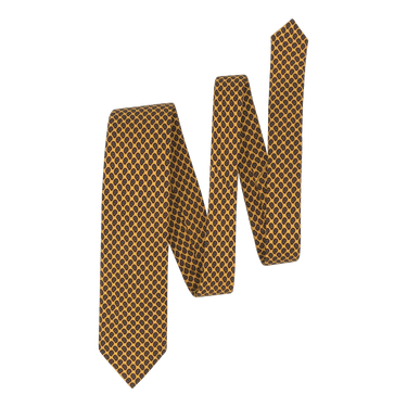 Paisley Printed Silk Tie in Yellow