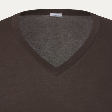 V-Neck Long Sleeve in Brown