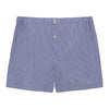 Emanuele Maffeis Checked Boxer Shorts in Blue and White - SARTALE