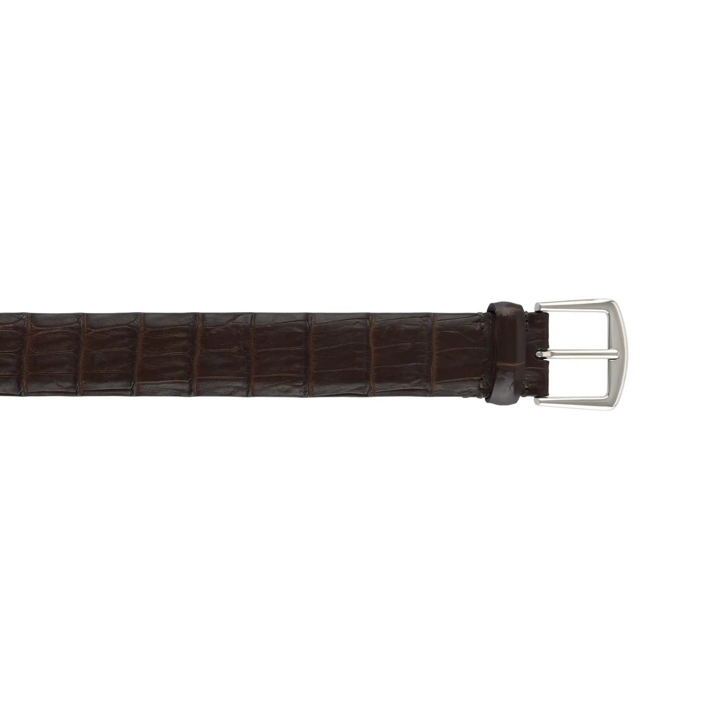 Loro Piana Caiman Leather Belt in Brown - SARTALE