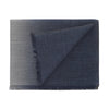 Loro Piana Cashmere - Blend Scarf in Grey and Blue - SARTALE