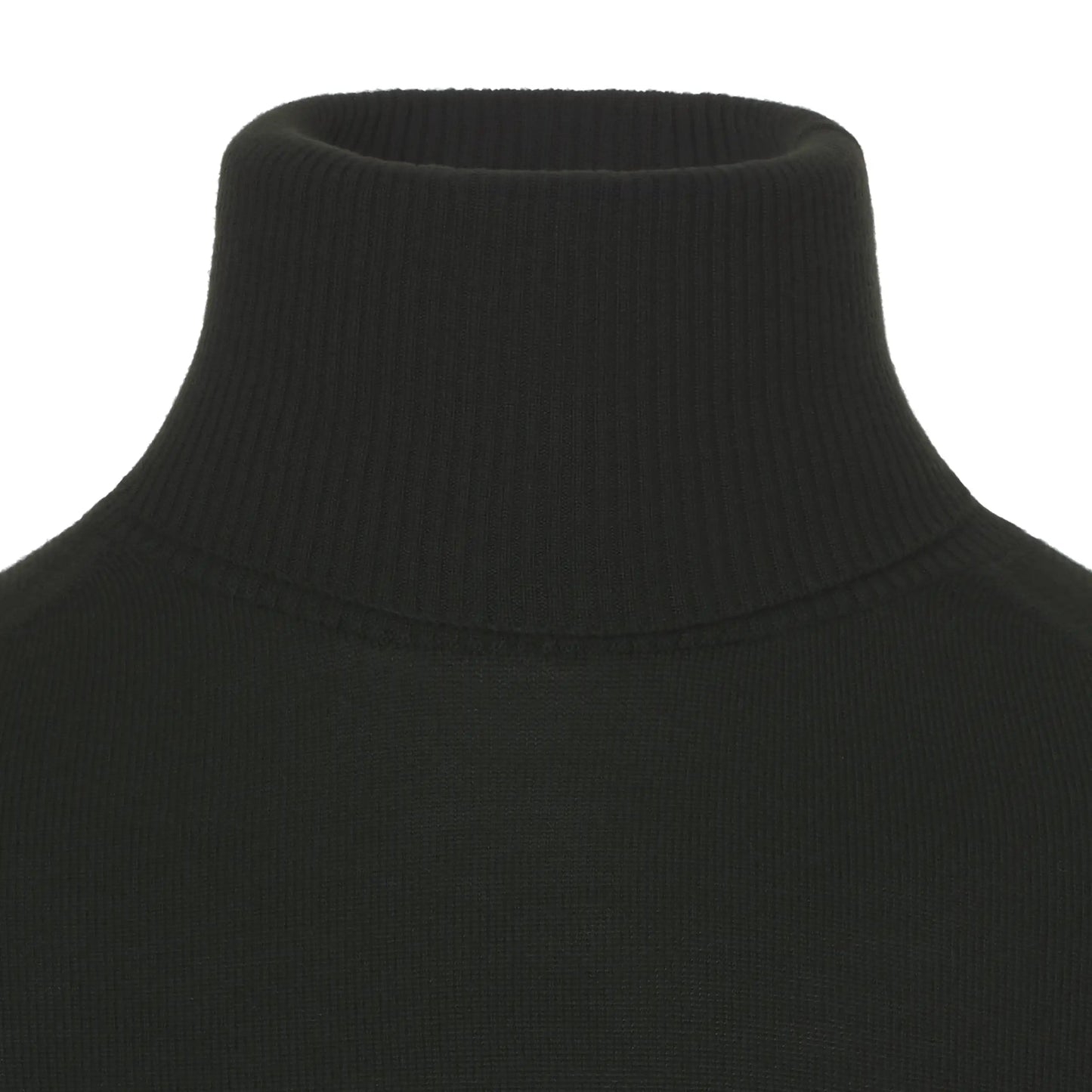 Sease Wool Whole Turtleneck Sweater in Dark Green - SARTALE