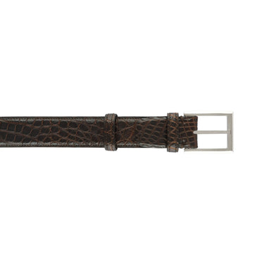 Tardini Alligator Leather Belt in Brown - SARTALE