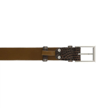 Tardini Alligator Leather Belt in Brown - SARTALE