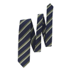 Regimental Woven Silk Tie in Multicolor