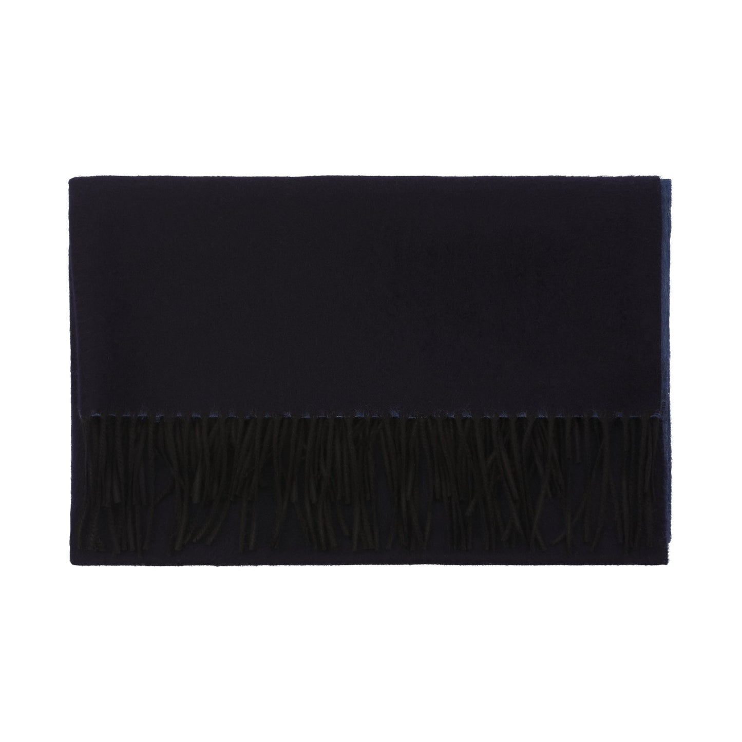 Piacenza Cashmere Fringed Reversible Silk and Cashmere-Blend Scarf in Blue - SARTALE